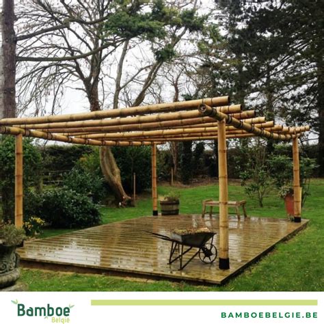 welkoop bamboe|bamboe pergola.